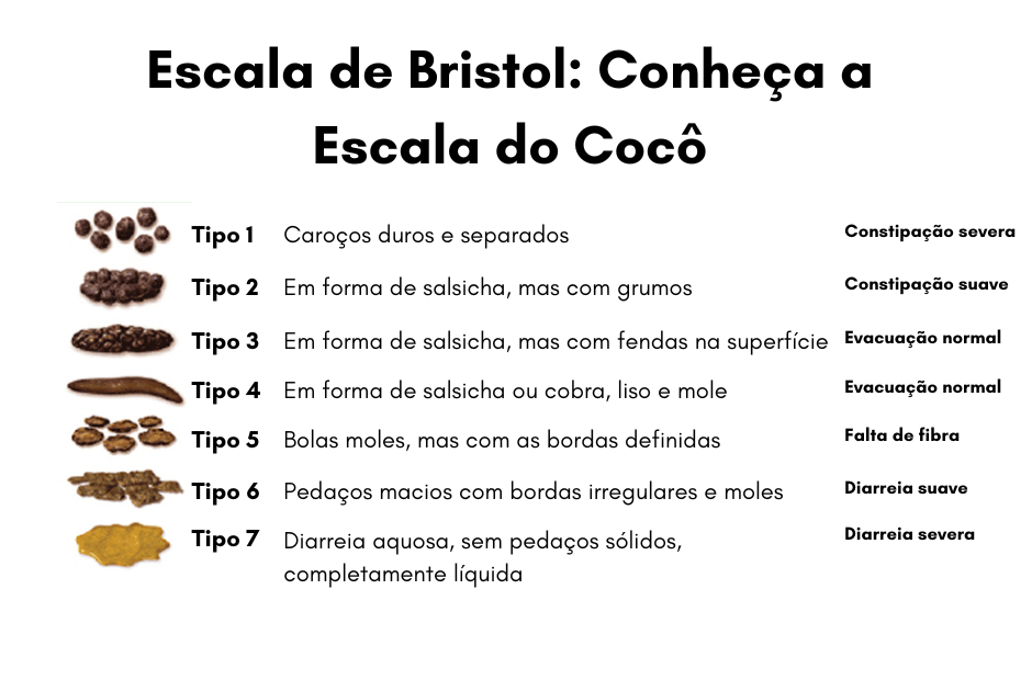 Escala-de-Bristol-Escala-do-Coco-com-os-7-tipos-de-coco