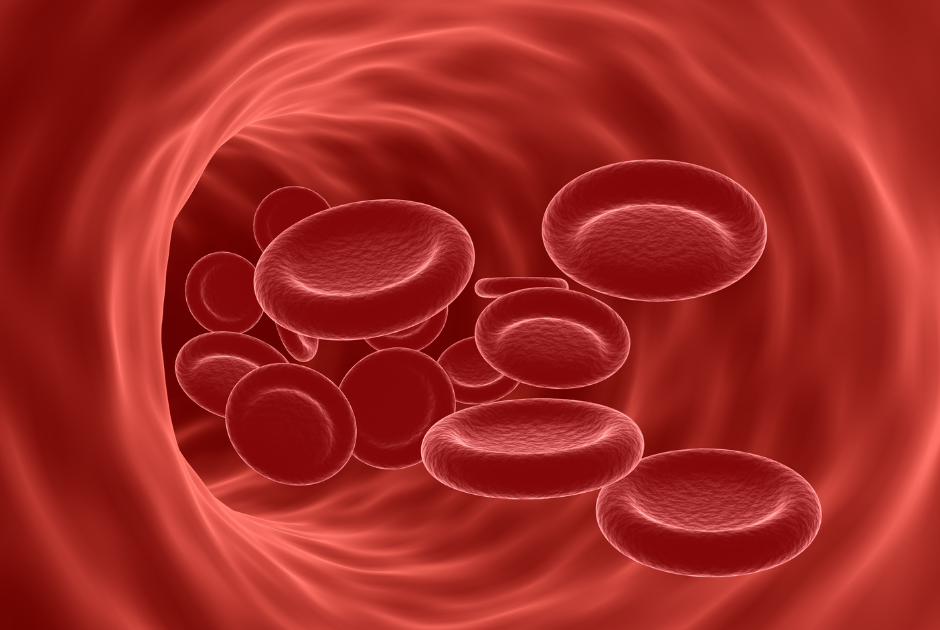 Hematologia-foto-do-sangue-ilustrativa