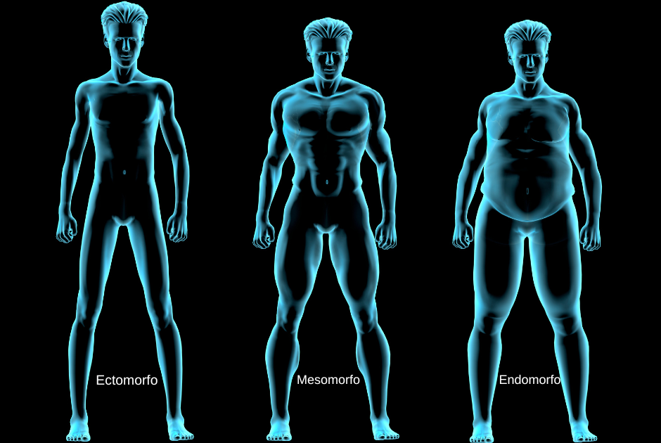 Foto-de-Biotipos-mesomorfo-ectomorfo-endomorfo